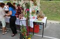 IMG_2729