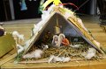 IMG_3705