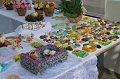 IMG_5546