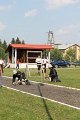 IMG_6005