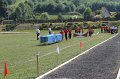 IMG_6012