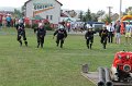 IMG_6071