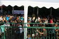 IMG_6216