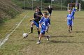 IMG_6599