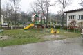IMG_6985