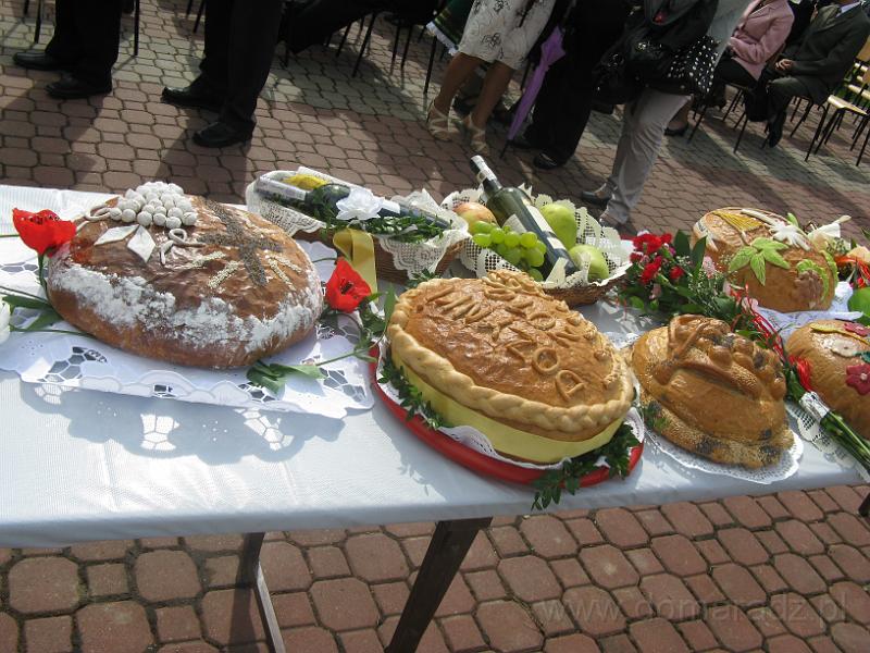 IMG_0937.JPG