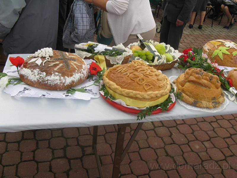 IMG_1029.JPG
