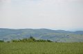 DSC_0804