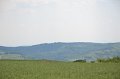 DSC_0805