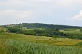 DSC_0895