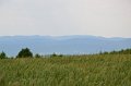 DSC_0908
