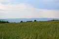 DSC_0909