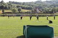 IMG_2531